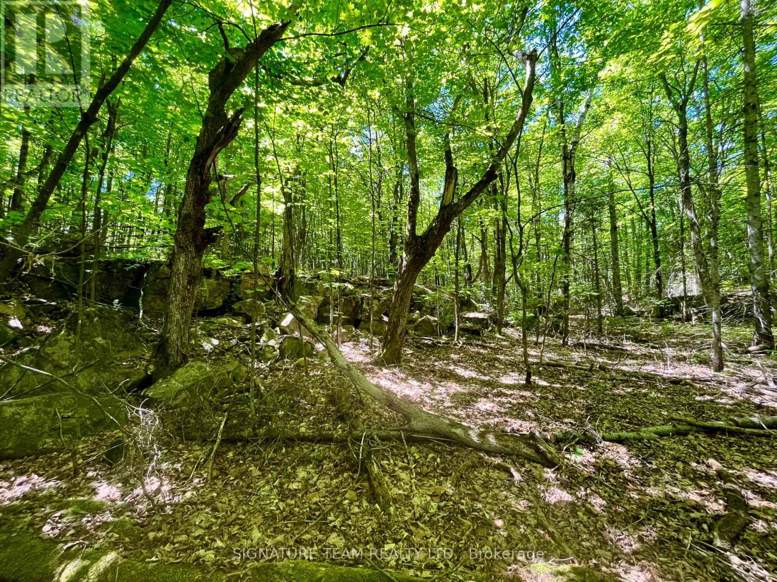 Pt Lt's 5 & 6 Foymount Road, Bonnechere Valley, Ontario  K0J 1W0 - Photo 11 - X13438544