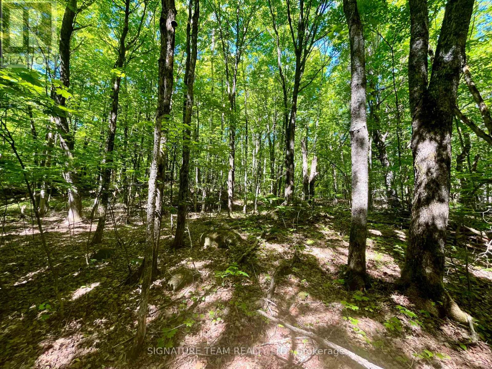 Pt Lt's 5 & 6 Foymount Road, Bonnechere Valley, Ontario  K0J 1W0 - Photo 12 - X13438544
