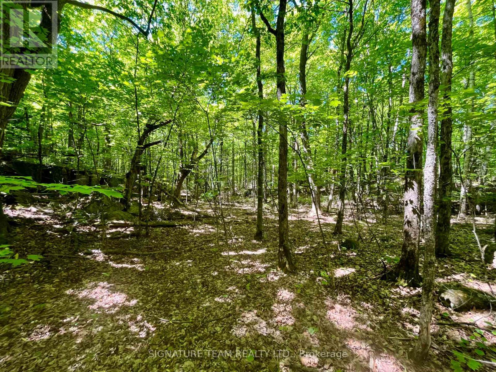 Pt Lt's 5 & 6 Foymount Road, Bonnechere Valley, Ontario  K0J 1W0 - Photo 13 - X13438544