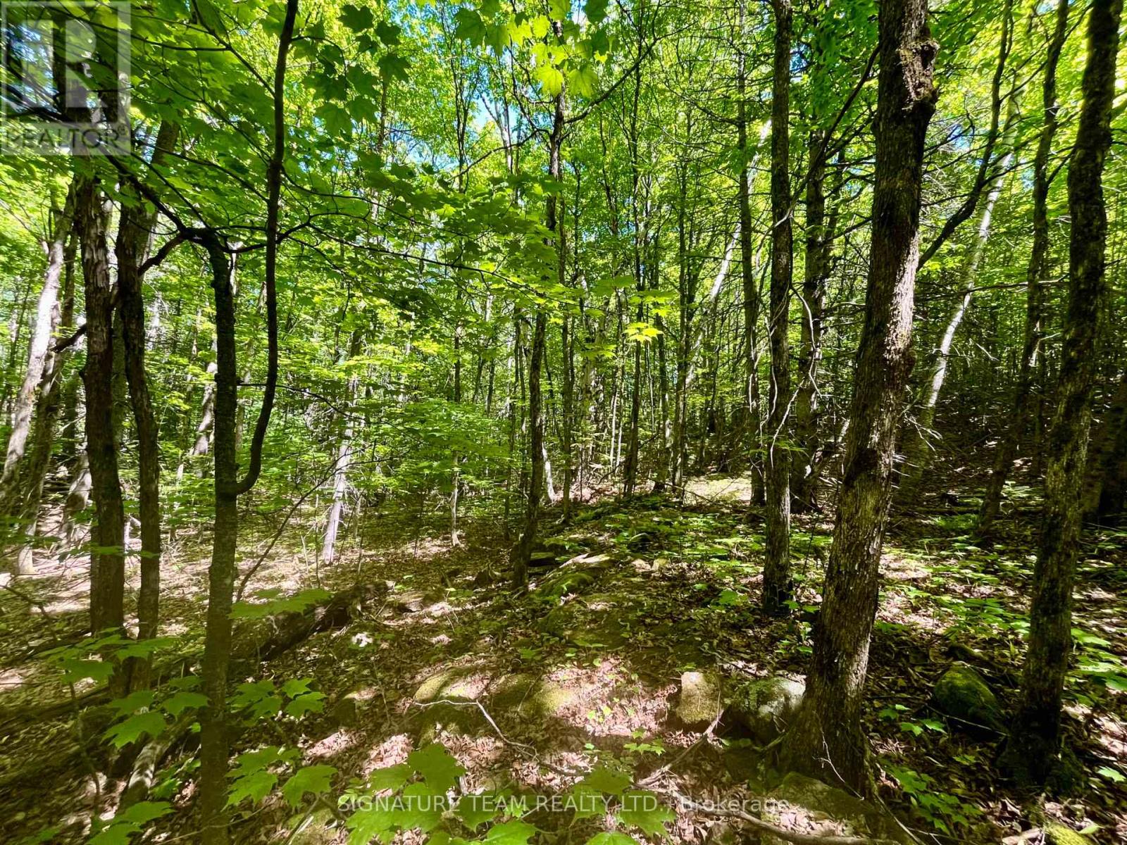 Pt Lt's 5 & 6 Foymount Road, Bonnechere Valley, Ontario  K0J 1W0 - Photo 14 - X13438544