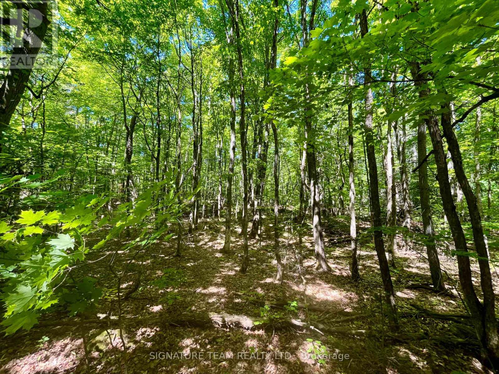 Pt Lt's 5 & 6 Foymount Road, Bonnechere Valley, Ontario  K0J 1W0 - Photo 15 - X13438544