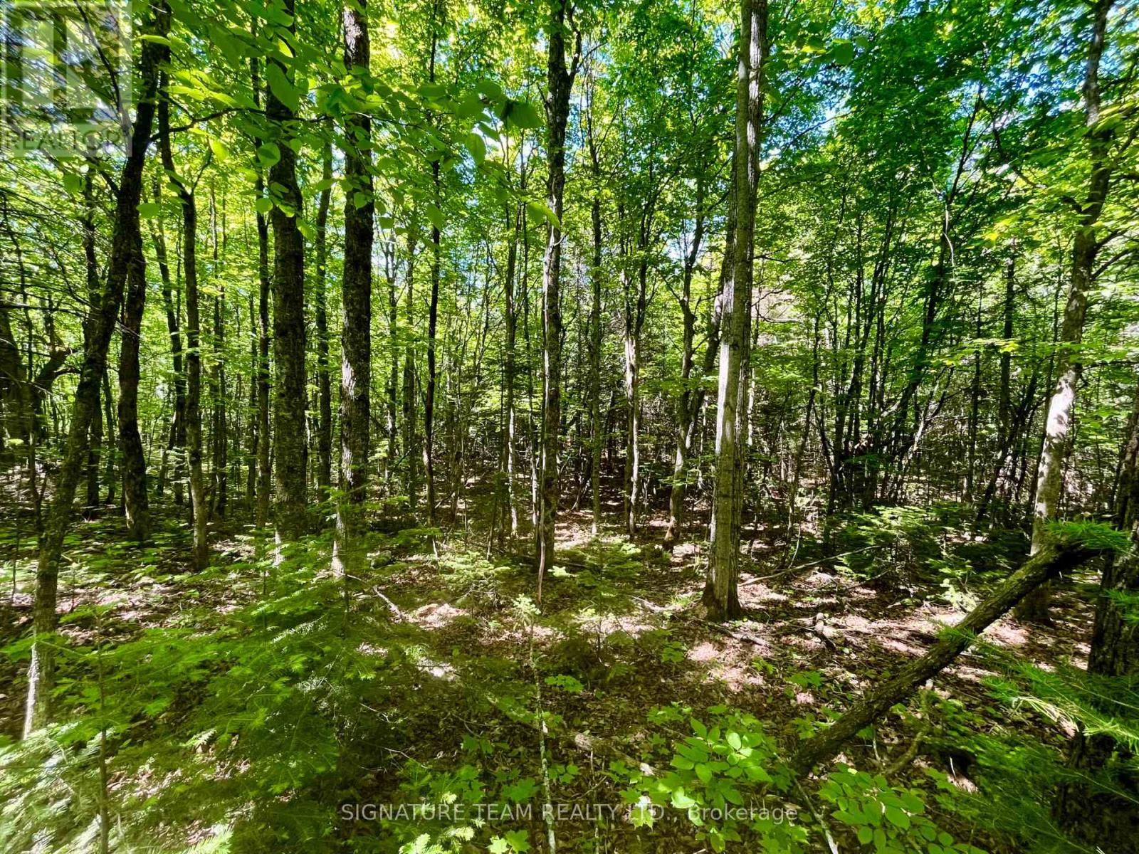 Pt Lt's 5 & 6 Foymount Road, Bonnechere Valley, Ontario  K0J 1W0 - Photo 16 - X13438544