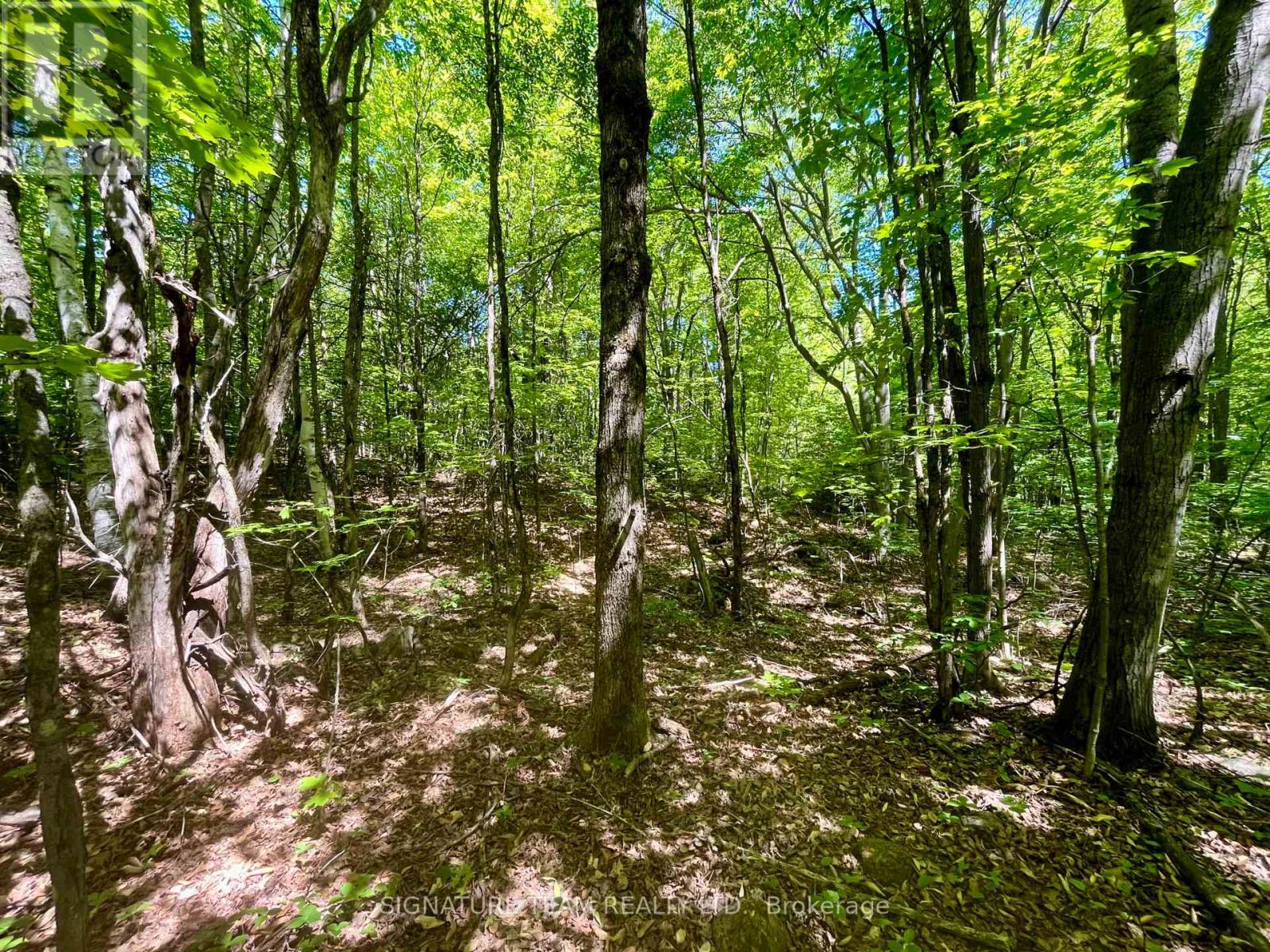 Pt Lt's 5 & 6 Foymount Road, Bonnechere Valley, Ontario  K0J 1W0 - Photo 17 - X13438544