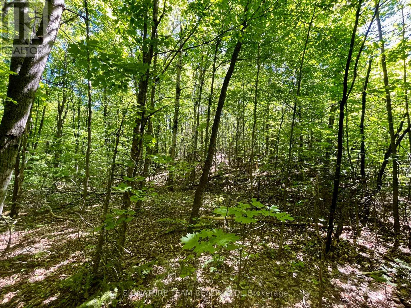 Pt Lt's 5 & 6 Foymount Road, Bonnechere Valley, Ontario  K0J 1W0 - Photo 18 - X13438544
