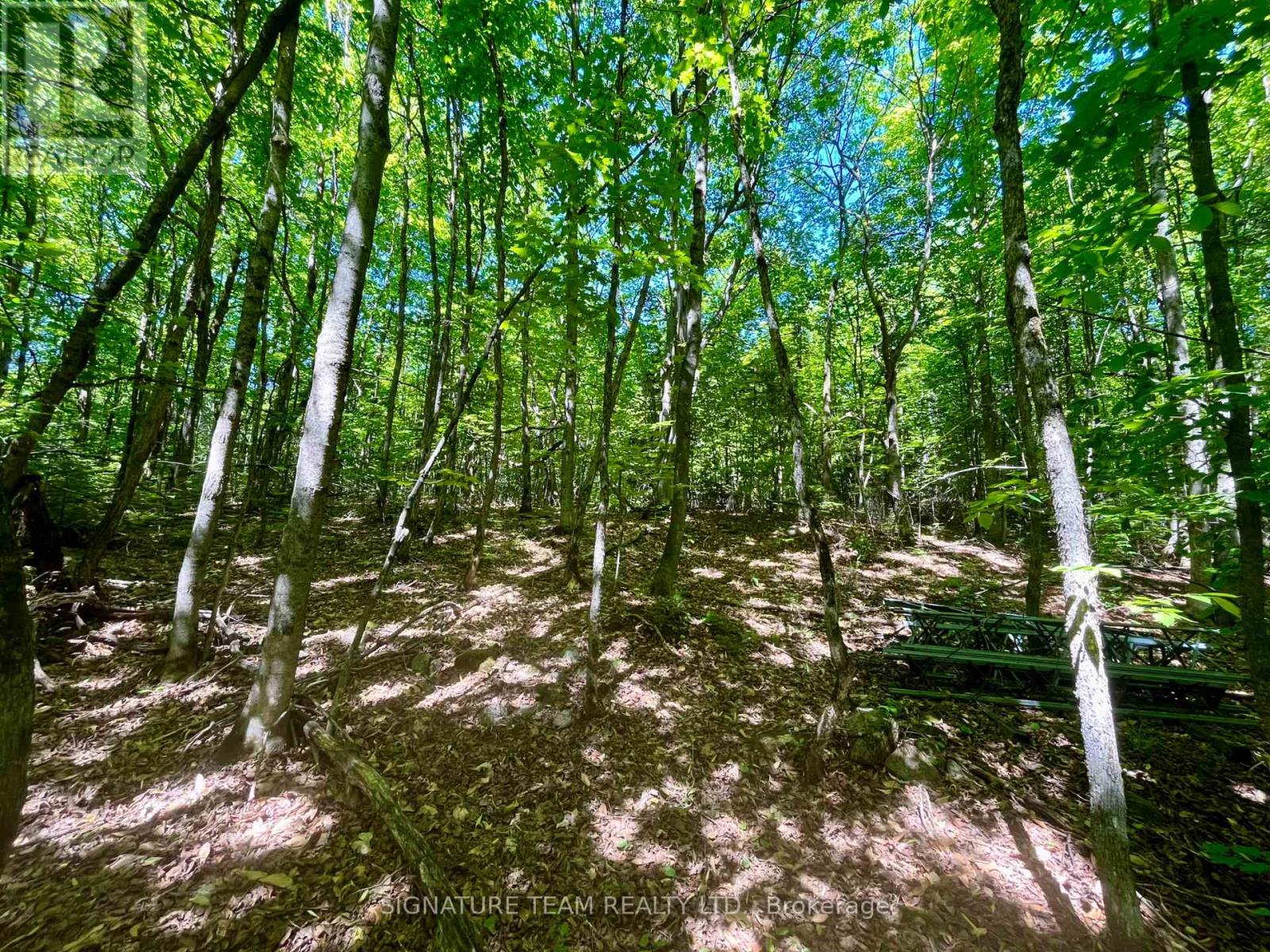Pt Lt's 5 & 6 Foymount Road, Bonnechere Valley, Ontario  K0J 1W0 - Photo 19 - X13438544
