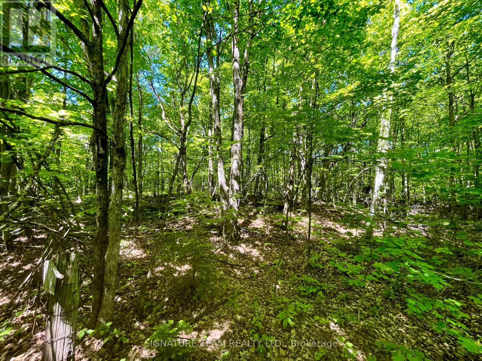 Pt Lt's 5 & 6 Foymount Road, Bonnechere Valley, Ontario  K0J 1W0 - Photo 22 - X13438544