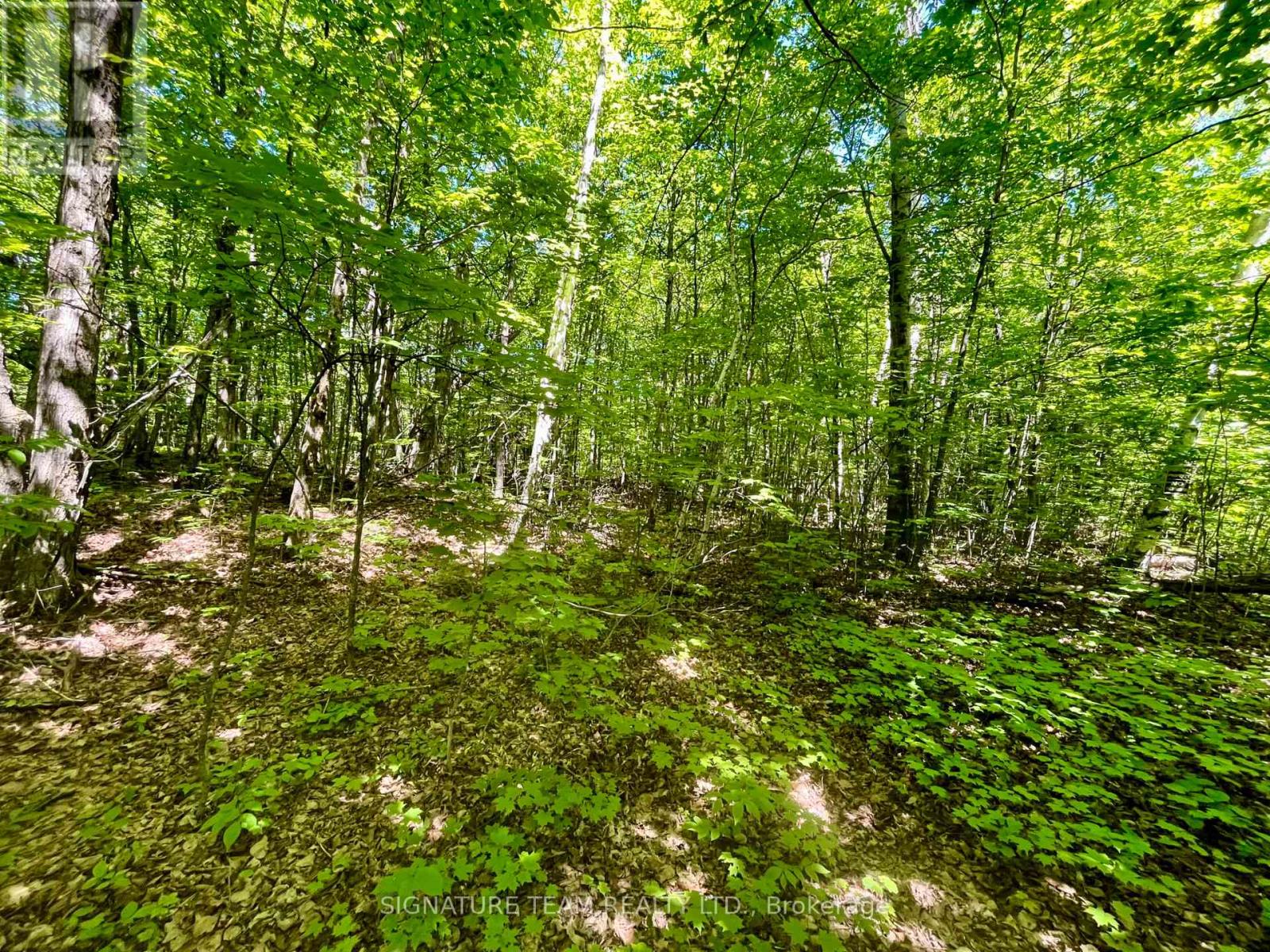 Pt Lt's 5 & 6 Foymount Road, Bonnechere Valley, Ontario  K0J 1W0 - Photo 23 - X13438544