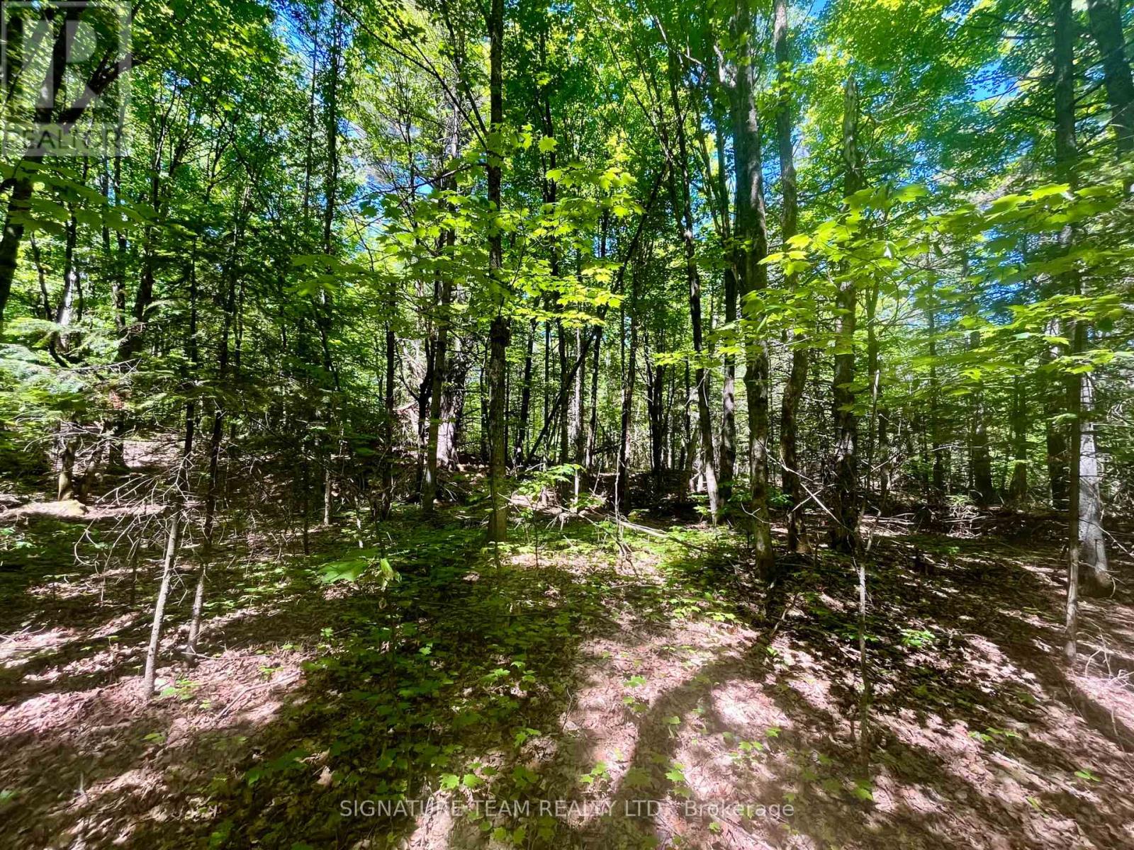 Pt Lt's 5 & 6 Foymount Road, Bonnechere Valley, Ontario  K0J 1W0 - Photo 4 - X13438544