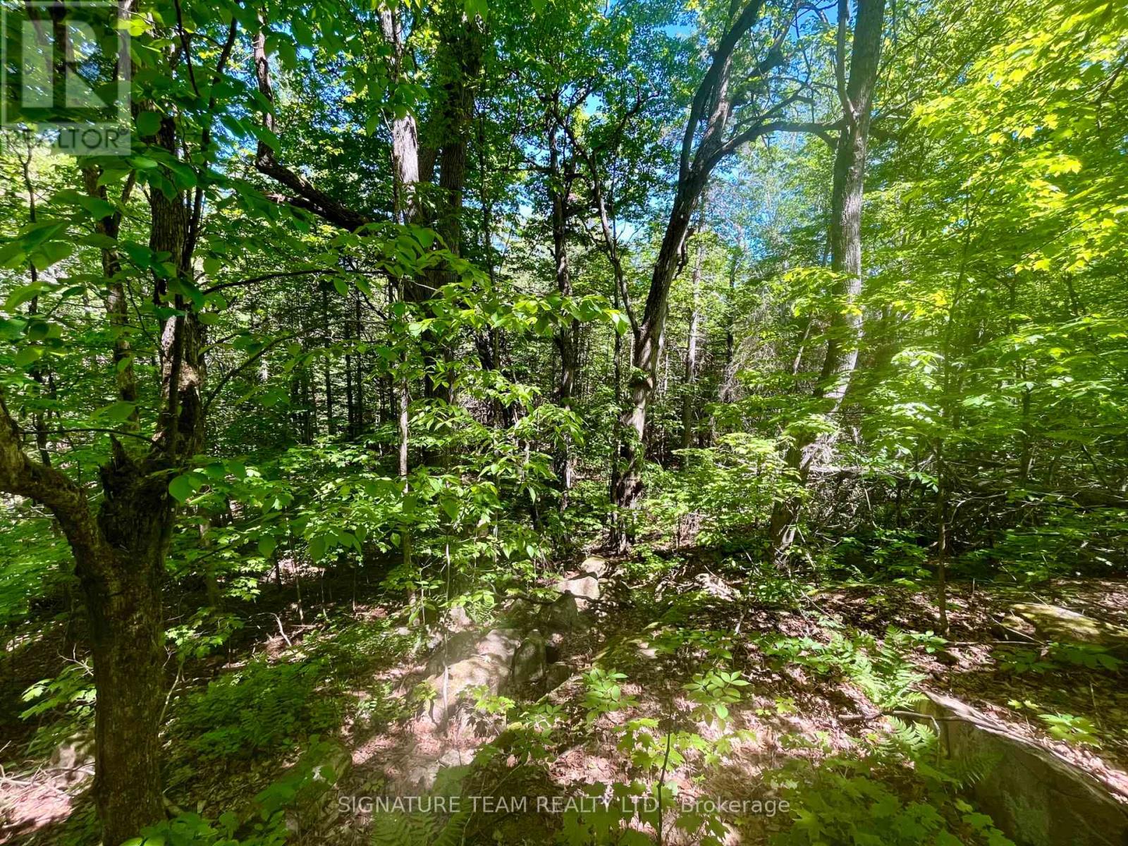 Pt Lt's 5 & 6 Foymount Road, Bonnechere Valley, Ontario  K0J 1W0 - Photo 5 - X13438544