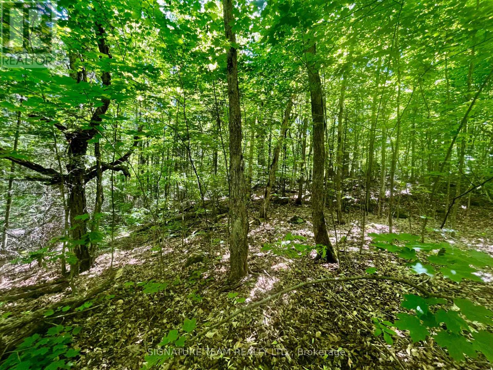 Pt Lt's 5 & 6 Foymount Road, Bonnechere Valley, Ontario  K0J 1W0 - Photo 6 - X13438544