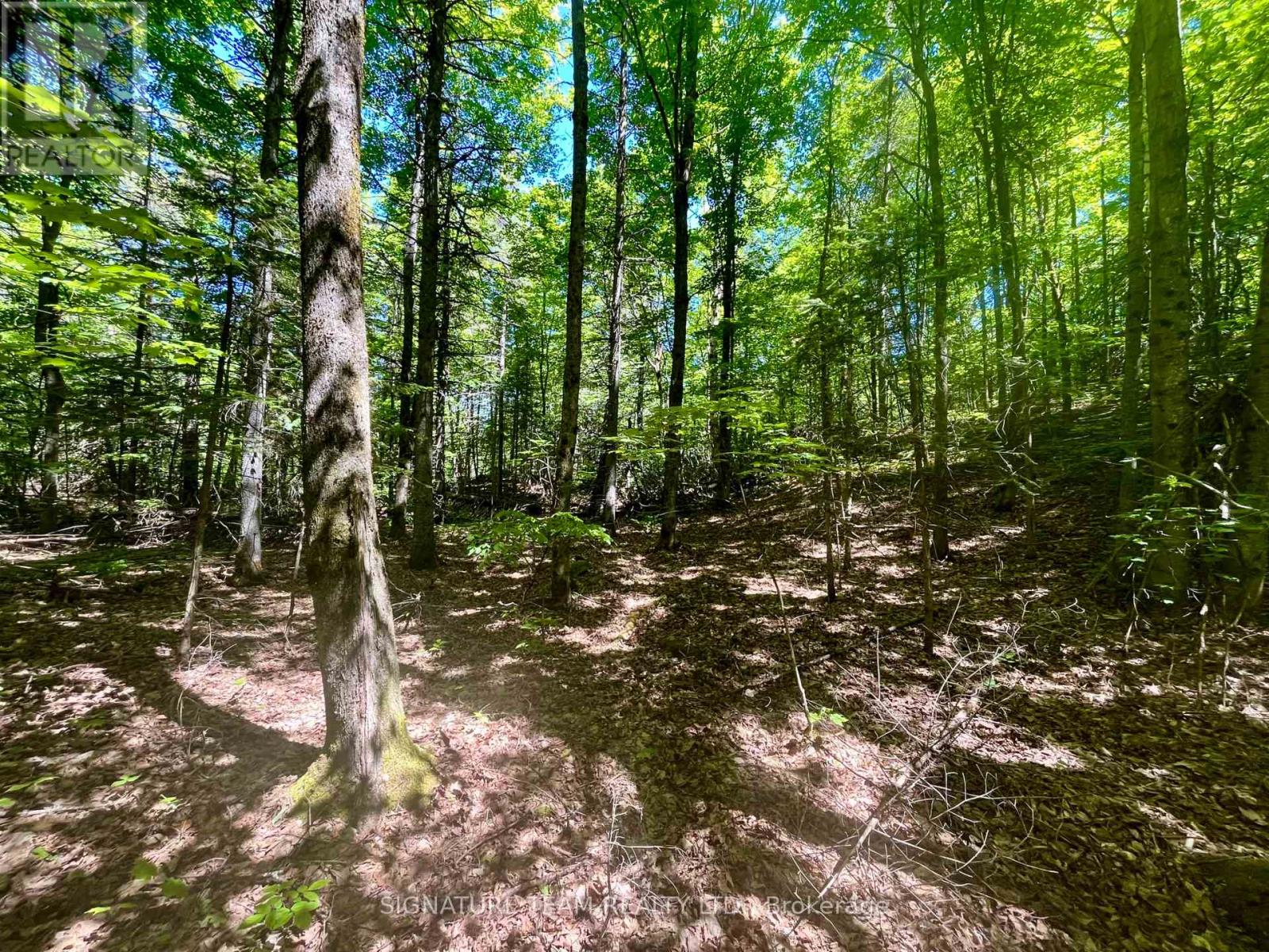 Pt Lt's 5 & 6 Foymount Road, Bonnechere Valley, Ontario  K0J 1W0 - Photo 7 - X13438544