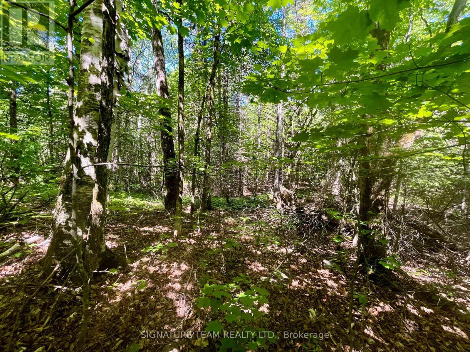 Pt Lt's 5 & 6 Foymount Road, Bonnechere Valley, Ontario  K0J 1W0 - Photo 8 - X13438544