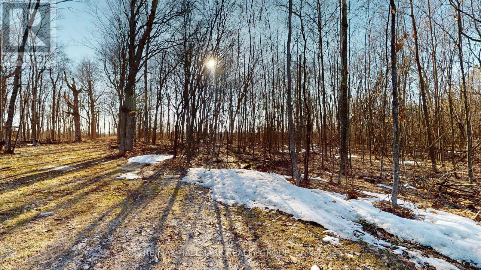 16 Cole Road, Elizabethtown-Kitley, Ontario  K0G 1R0 - Photo 40 - X13028994