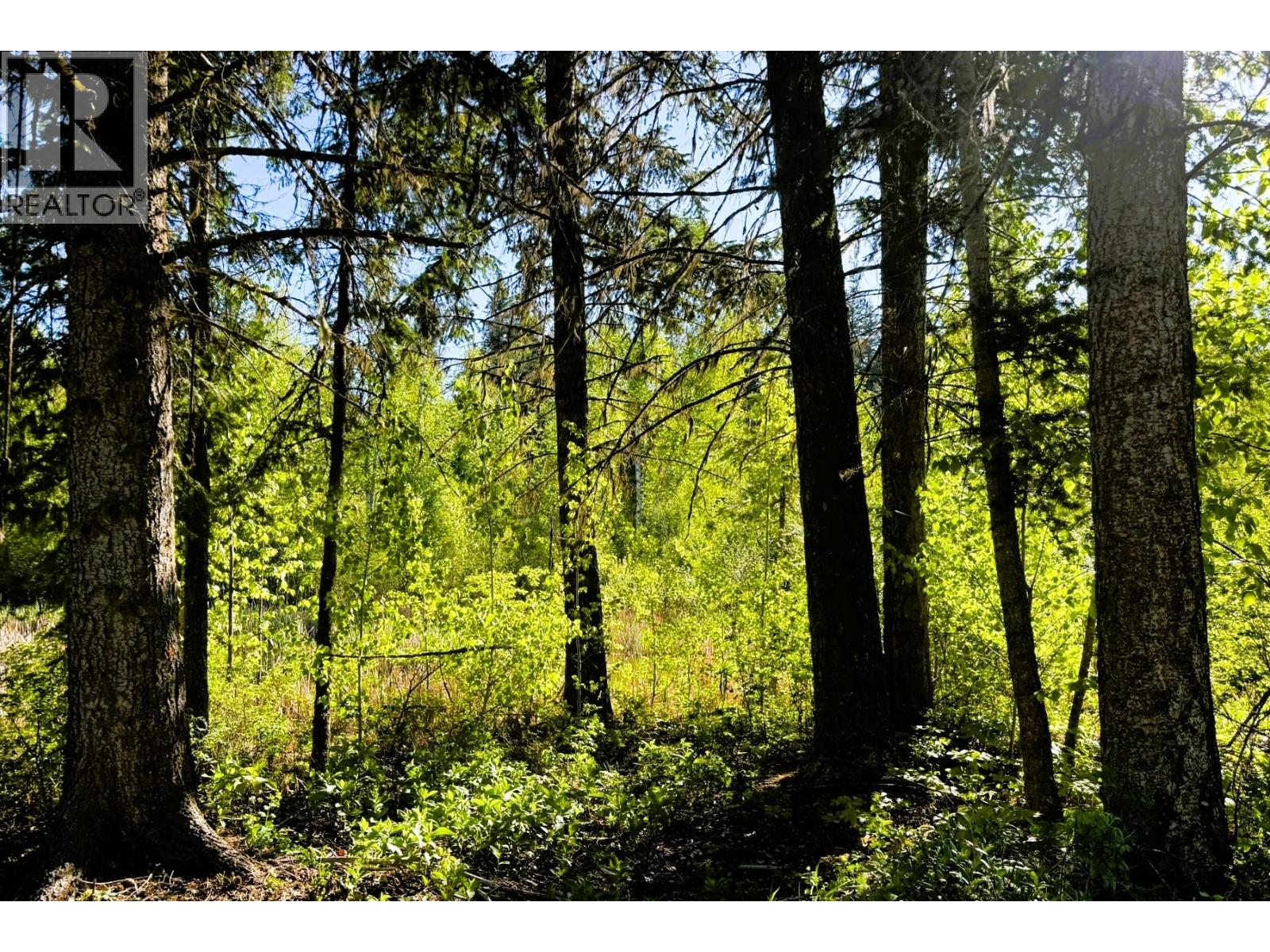 4081 McNab Road Lot# DL 1828 Little Fort Photo 77 4081 McNab Road Lot# DL 1828 Little Fort Photo 77