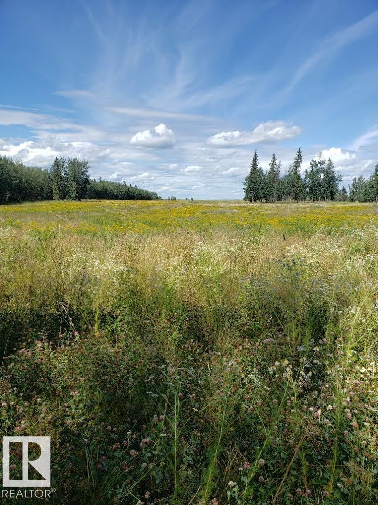 Rr 50 Twp 532 None, Rural Parkland County, Alberta  T0E 0V0 - Photo 2 - E4492466