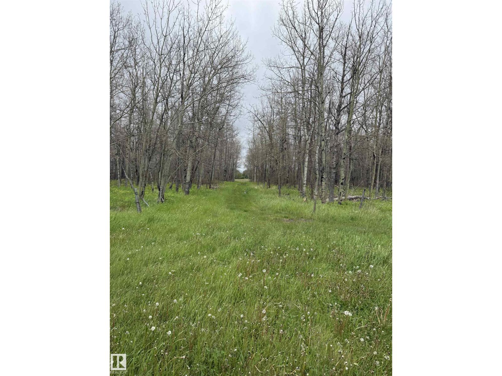 Rr 50 Twp 532 None, Rural Parkland County, Alberta  T0E 0V0 - Photo 8 - E4492466