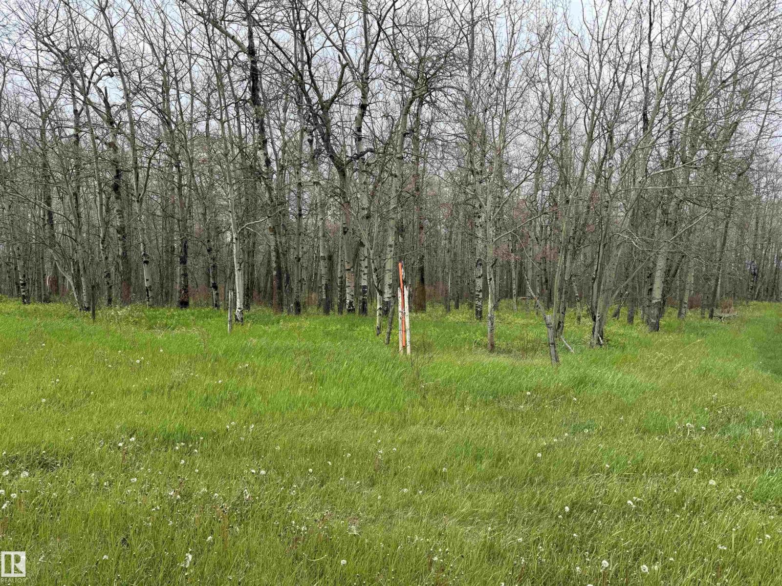Rr 50 Twp 532 None, Rural Parkland County, Alberta  T0E 0V0 - Photo 16 - E4492466