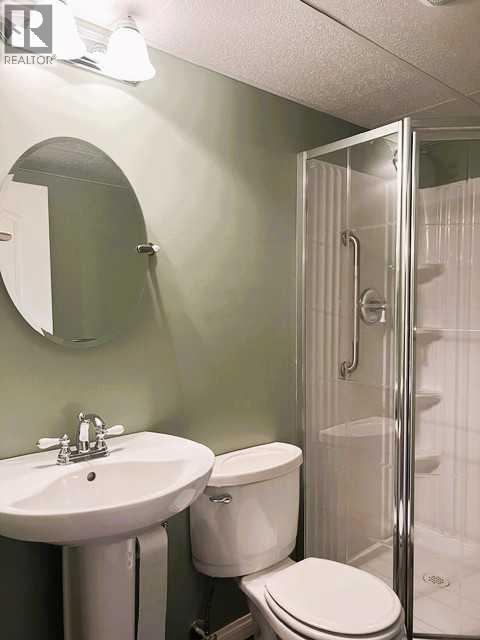 4612 Womacks Road, Blackfalds, Alberta  T0M 0J0 - Photo 25 - A2319583