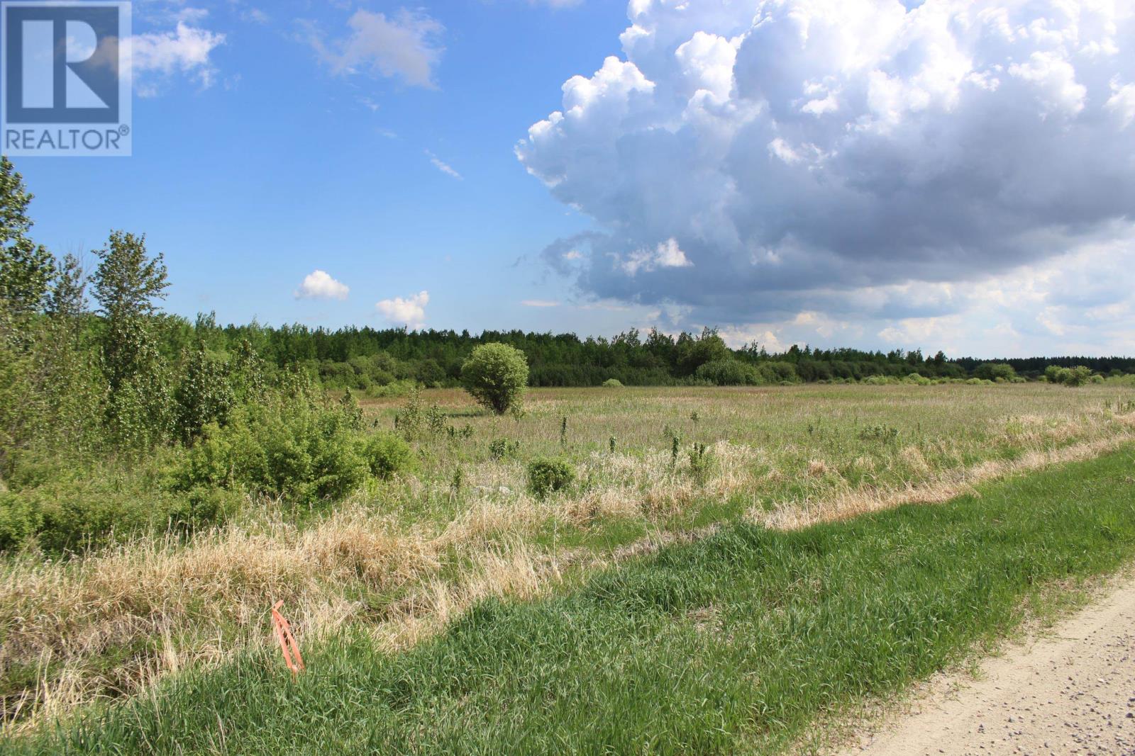 Se 1/4 Sec 21 Hwy 600, Rainy River, Ontario  P0W 1L0 - Photo 12 - TB2601489