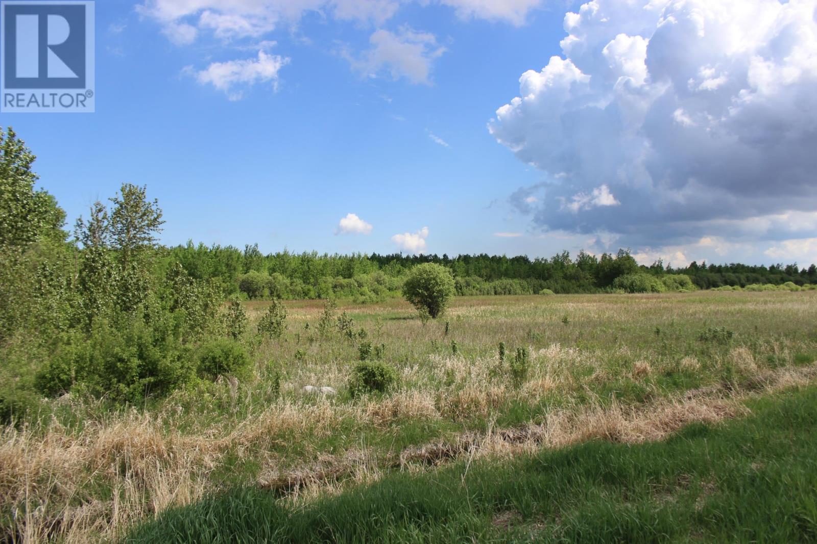Se 1/4 Sec 21 Hwy 600, Rainy River, Ontario  P0W 1L0 - Photo 13 - TB2601489