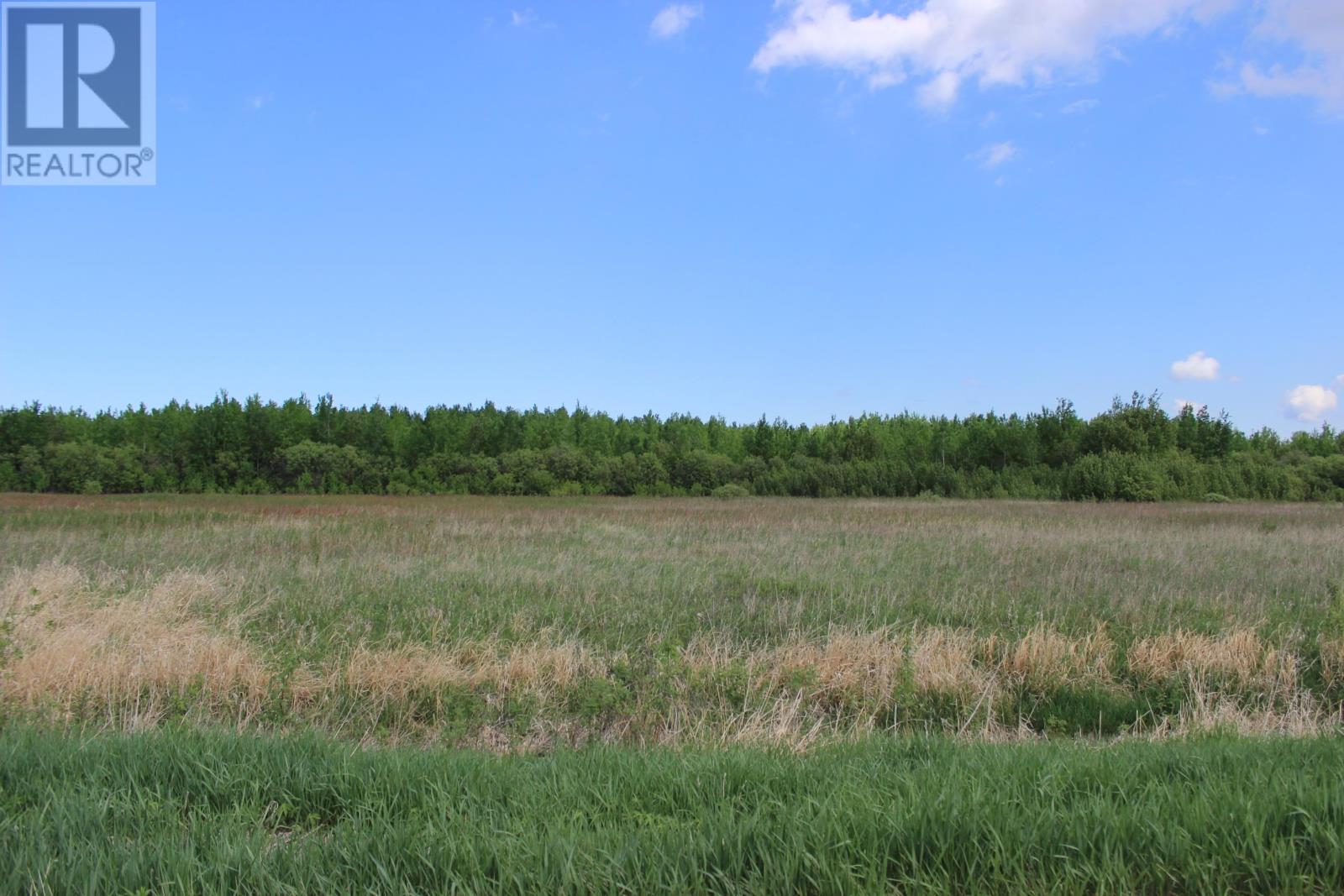 Se 1/4 Sec 21 Hwy 600, Rainy River, Ontario  P0W 1L0 - Photo 14 - TB2601489