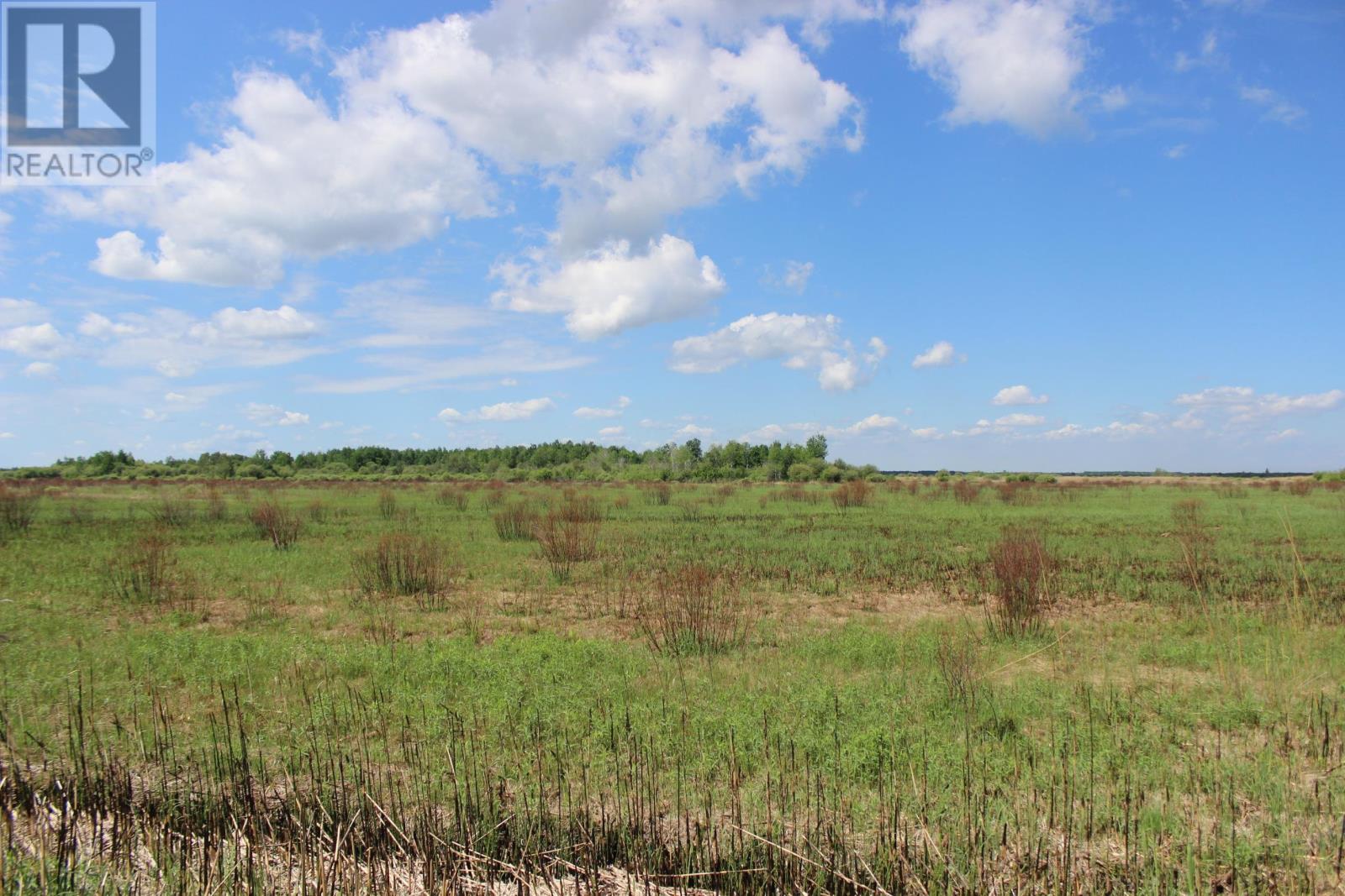 Se 1/4 Sec 21 Hwy 600, Rainy River, Ontario  P0W 1L0 - Photo 4 - TB2601489
