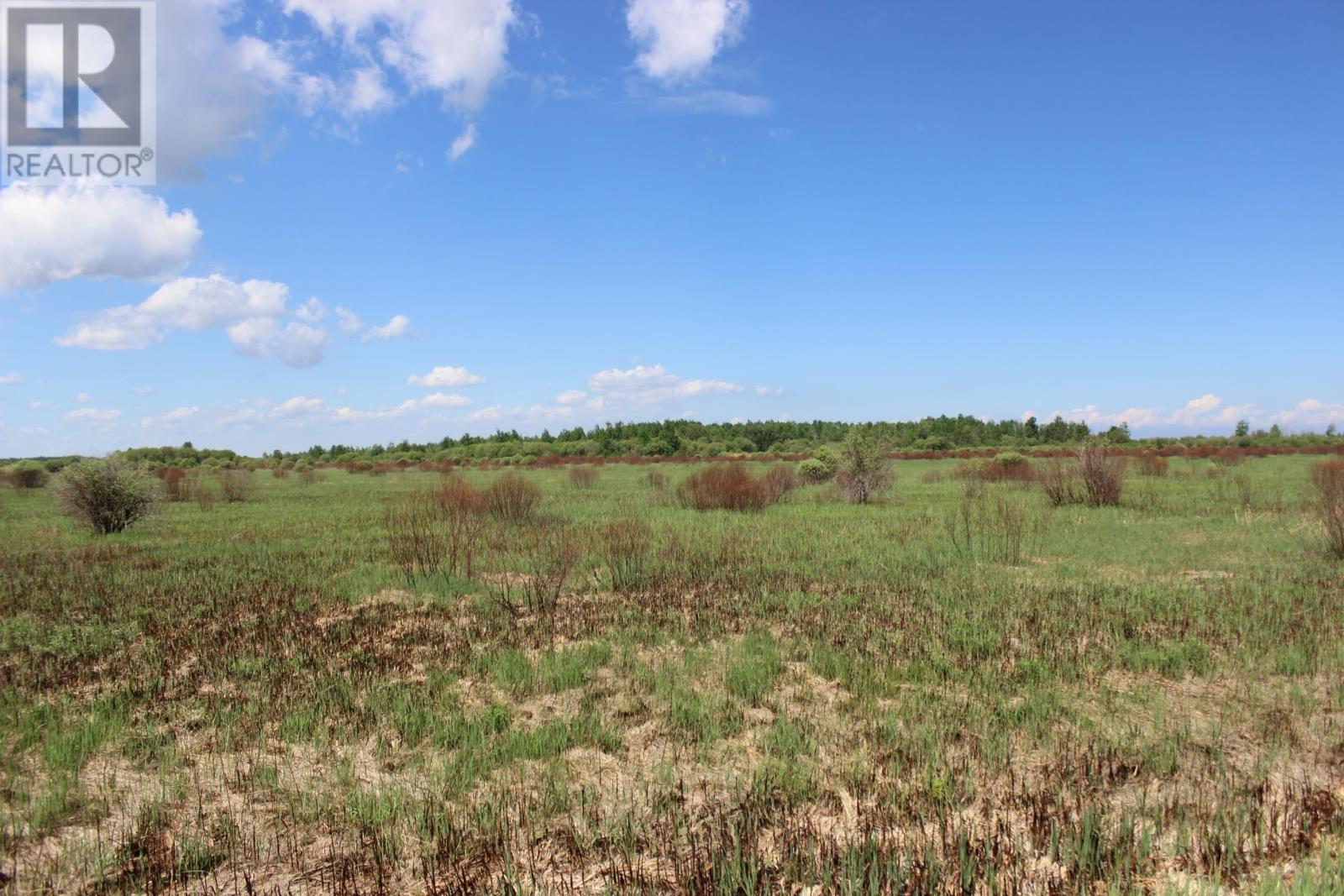 Se 1/4 Sec 21 Hwy 600, Rainy River, Ontario  P0W 1L0 - Photo 8 - TB2601489