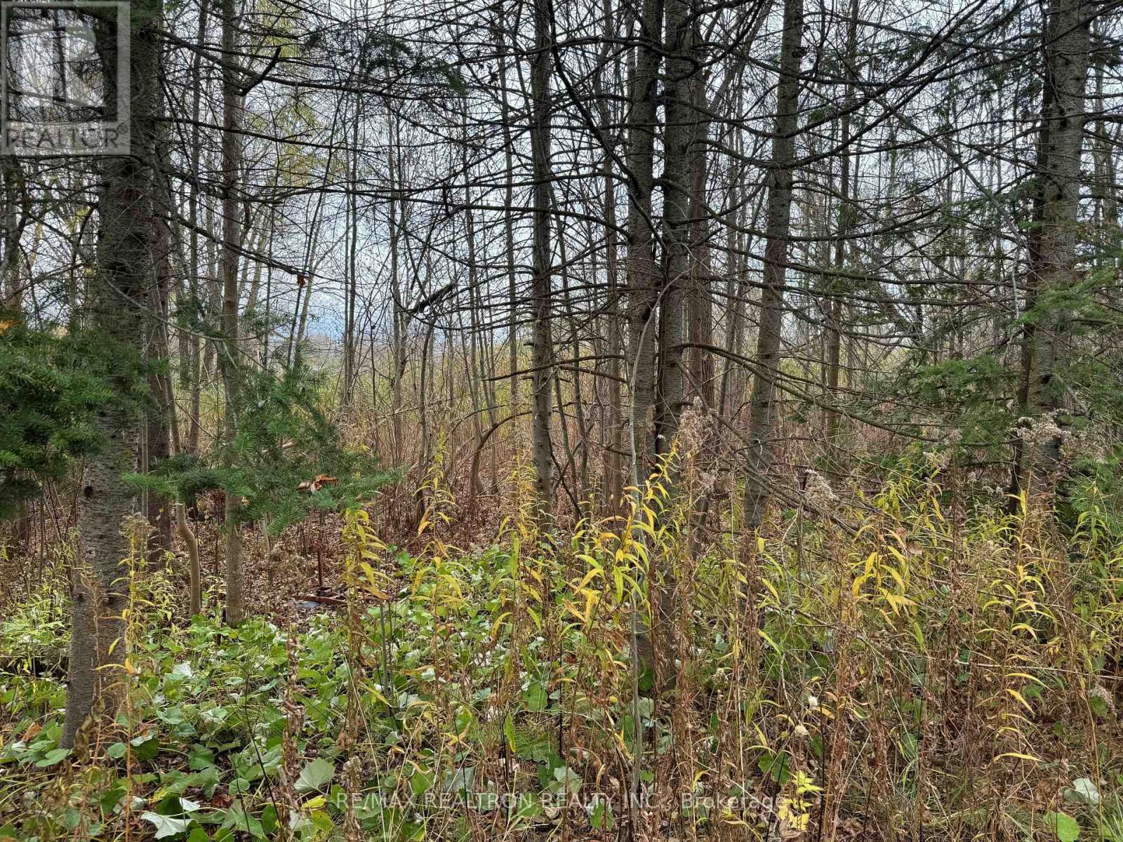 0 Taylorwoods Boulevard, Innisfil, Ontario  L9S 2E9 - Photo 2 - N13439020