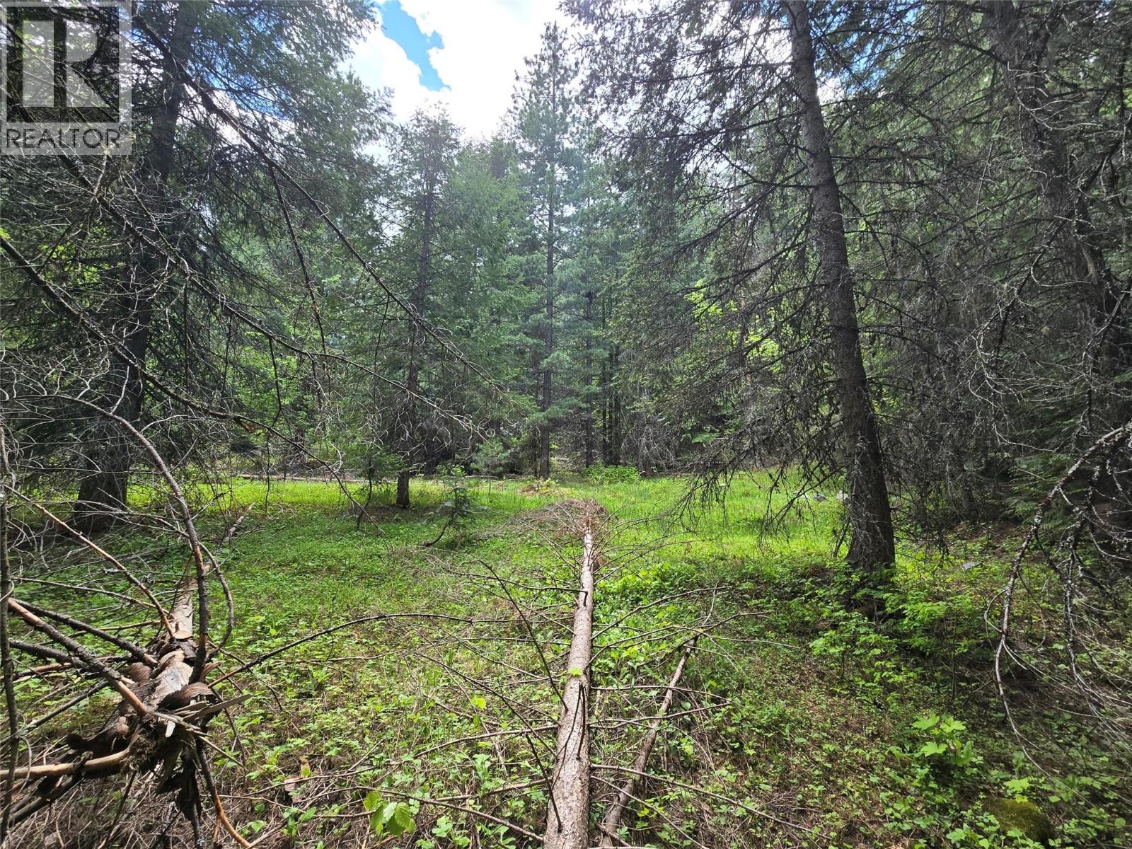 Deer Park Drive Lot# 21, Rossland, British Columbia  V0G 1Y0 - Photo 3 - 10374414