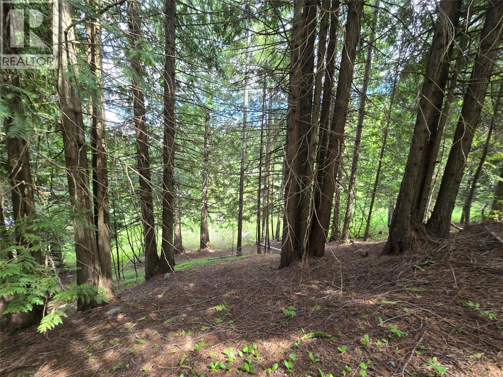 Deer Park Drive Lot# 21, Rossland, British Columbia