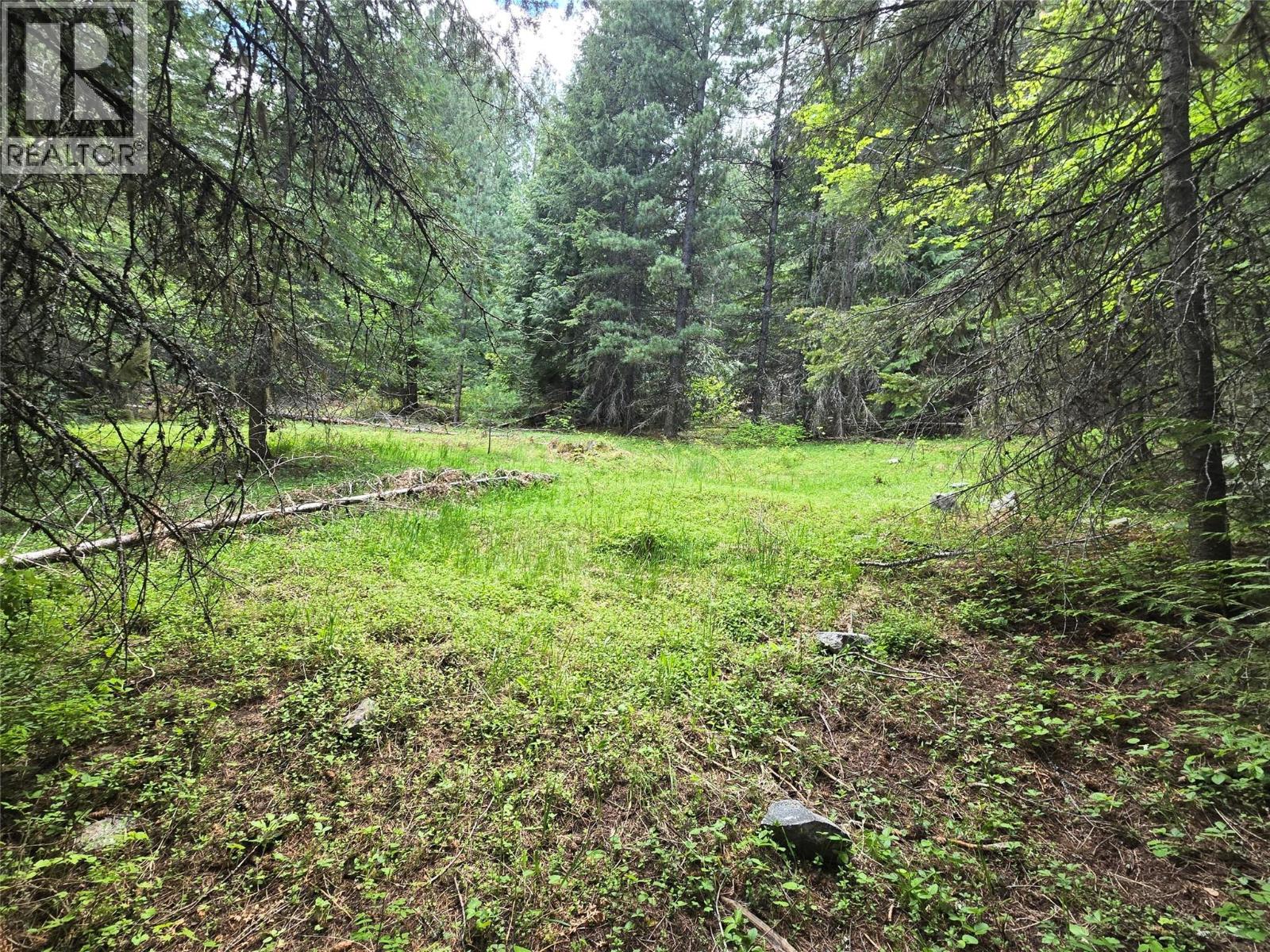 Deer Park Drive Lot# 21, Rossland, British Columbia  V0G 1Y0 - Photo 2 - 10374414