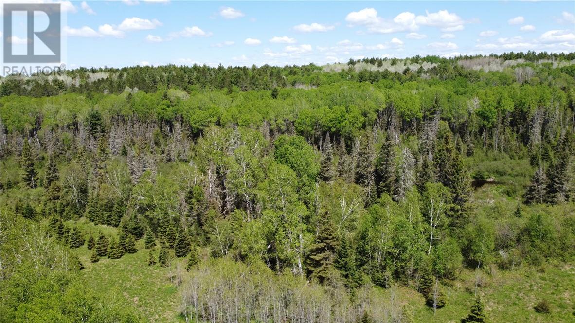 488 Huskey Trail Road, Markstay-Warren, Ontario  P0M 2G0 - Photo 10 - 2128532