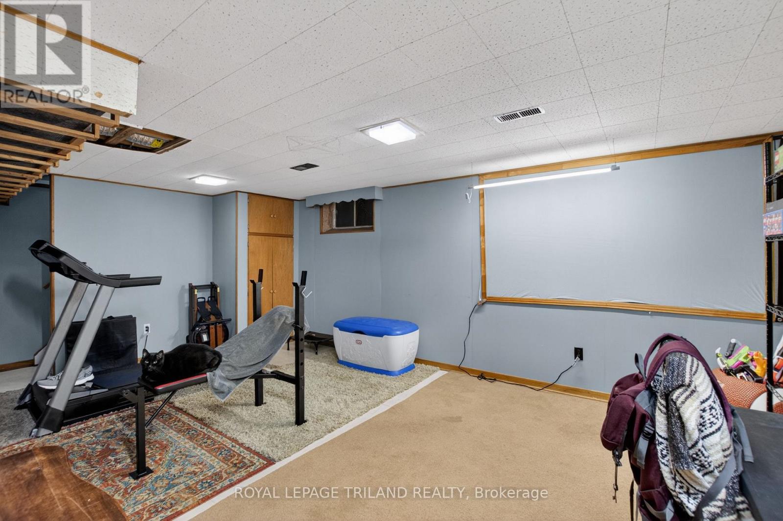 279 Forest Avenue, St. Thomas, Ontario  N5R 2K5 - Photo 43 - X13439606