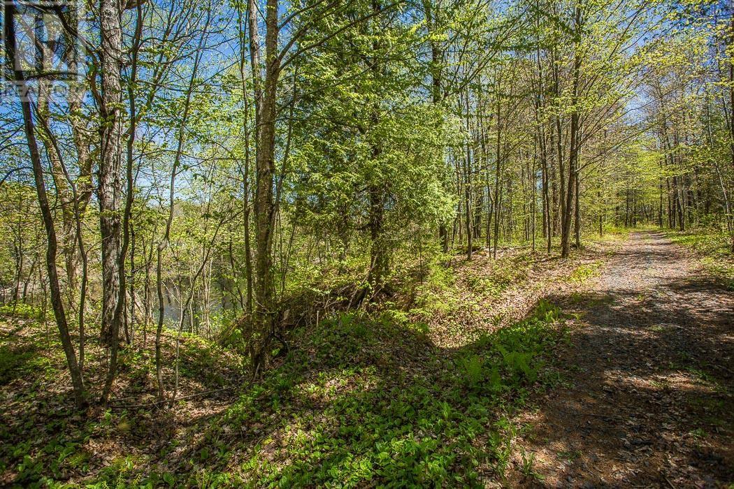 End Of Warnock Rd, Gladstone Township, Iron Bridge, Ontario  P0R 1H0 - Photo 29 - SM251197