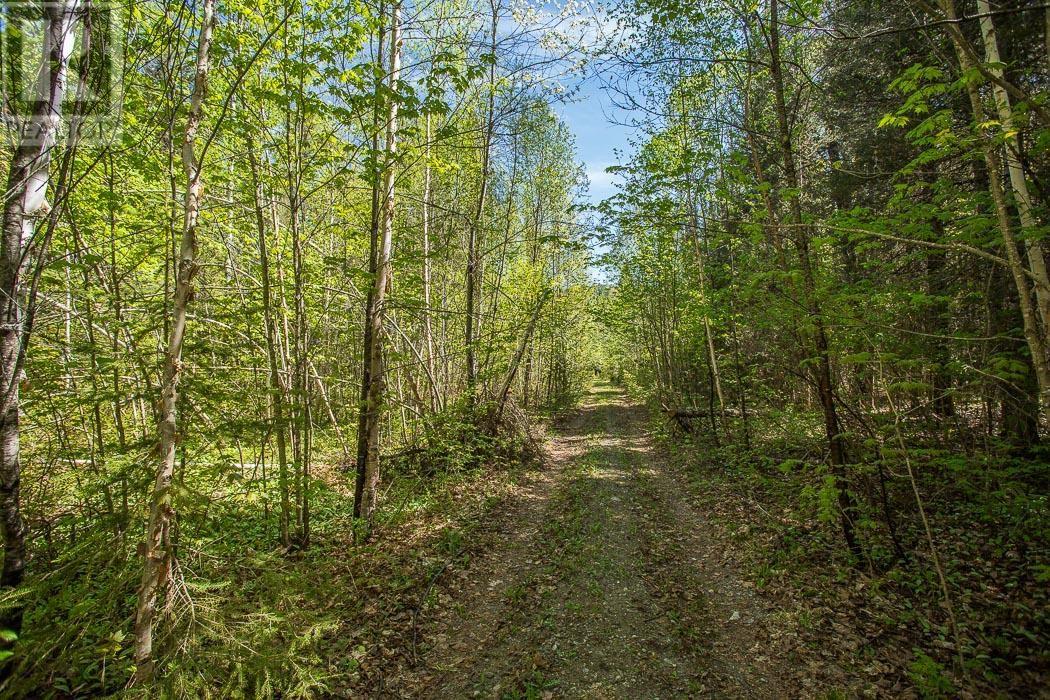 1416 Highway 532, Unorganized, Searchmont, Ontario P0S 1J0 - Photo 22 - SM261416