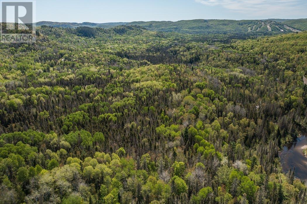 1416 Highway 532, Unorganized, Searchmont, Ontario P0S 1J0 - Photo 44 - SM261416