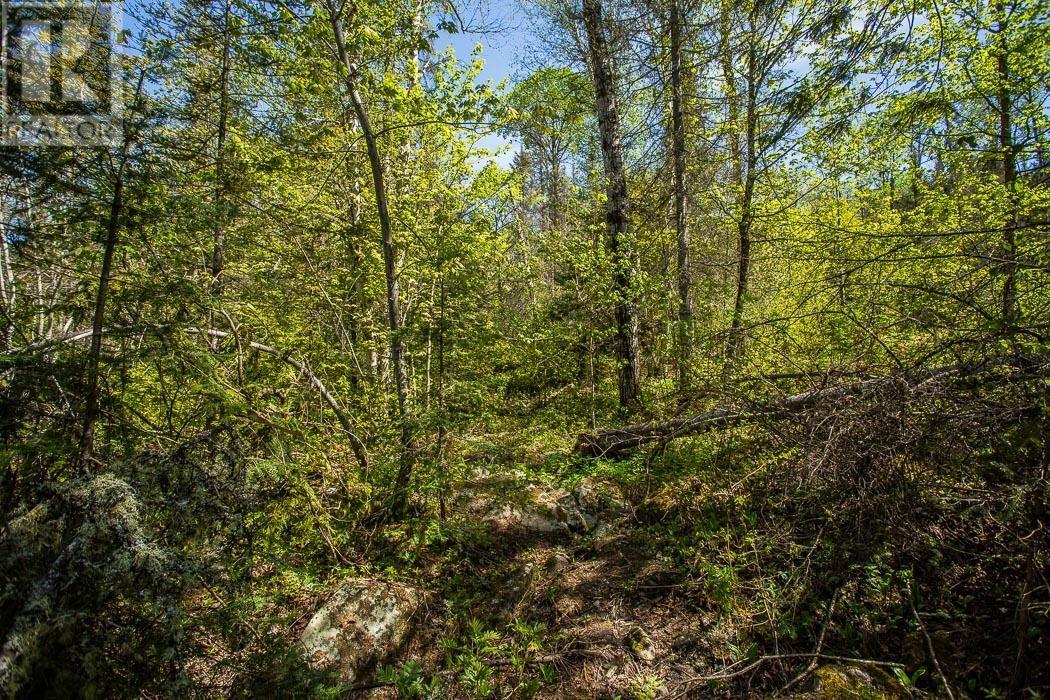 1416 Highway 532, Unorganized, Searchmont, Ontario P0S 1J0 - Photo 38 - SM261416