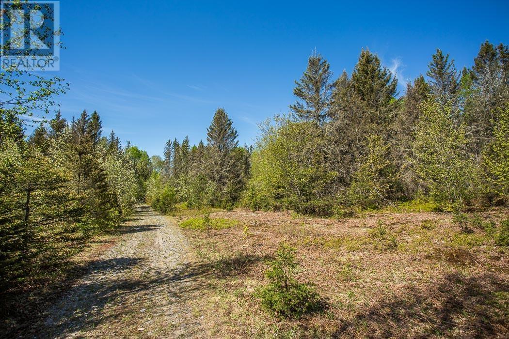 1416 Highway 532, Unorganized, Searchmont, Ontario P0S 1J0 - Photo 17 - SM261416