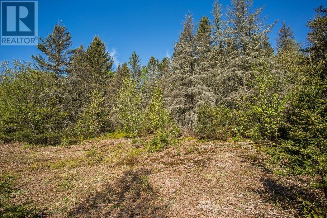 1416 Highway 532, Unorganized, Searchmont, Ontario P0S 1J0 - Photo 18 - SM261416