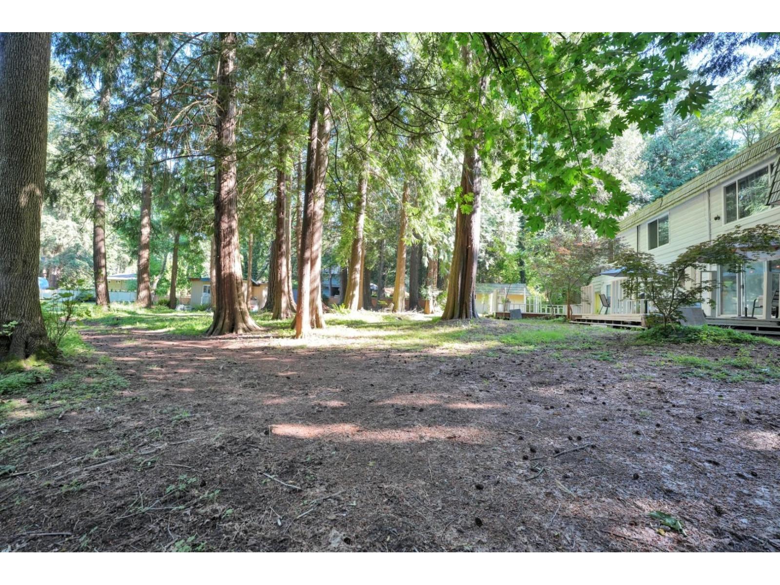 2838 132 Street, Surrey, British Columbia  V4P 1K2 - Photo 22 - R3135368