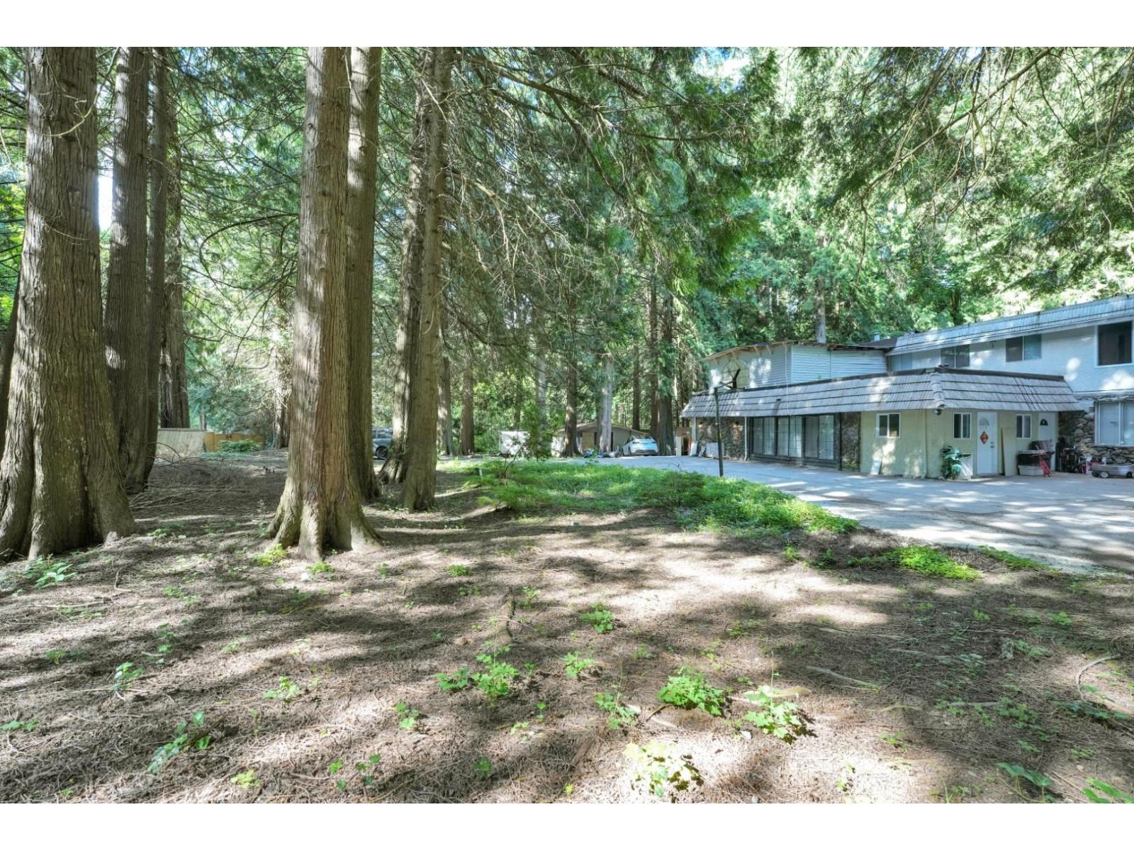 2838 132 Street, Surrey, British Columbia  V4P 1K2 - Photo 6 - R3135368