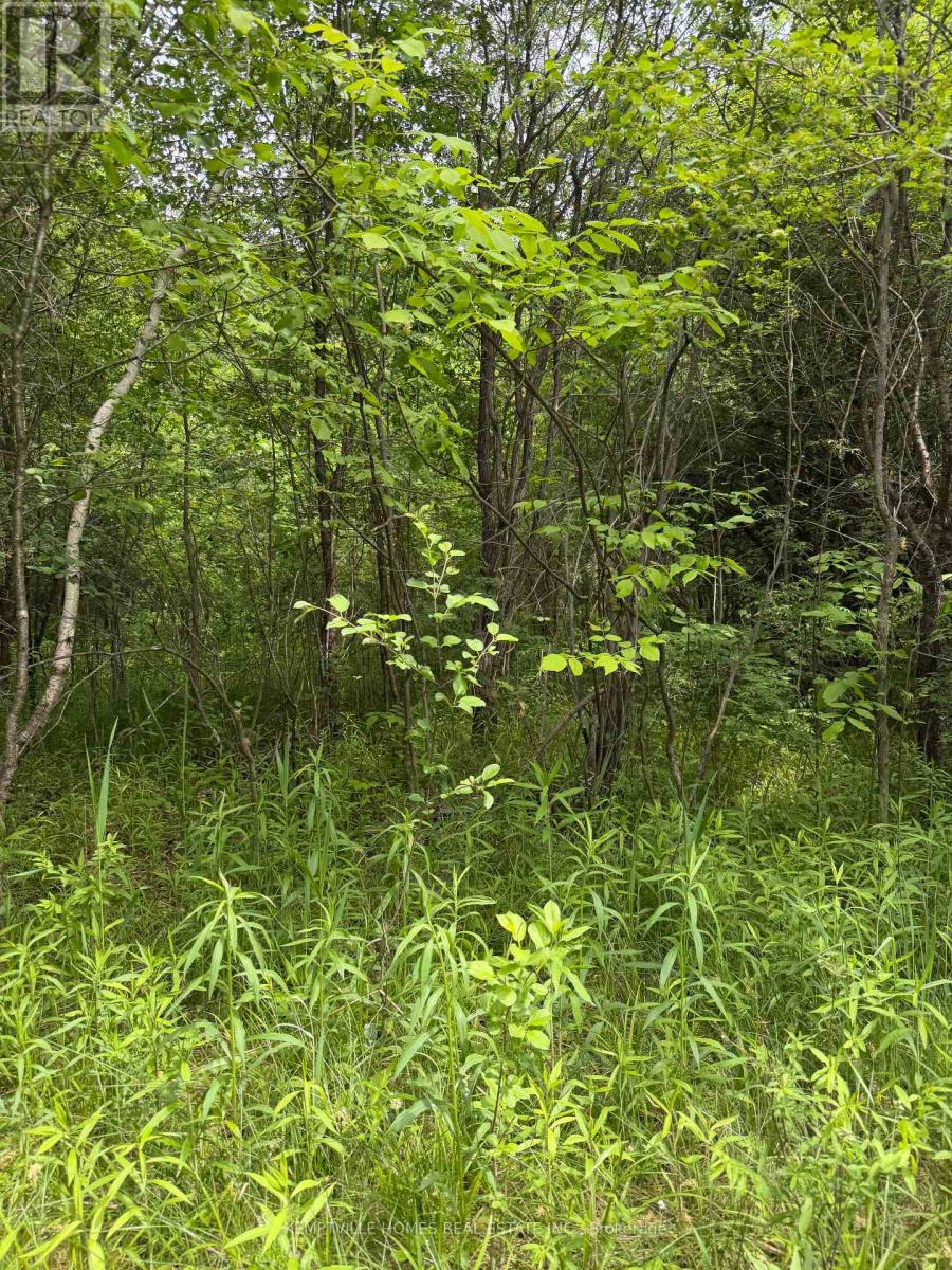 00 Richardson Road, Montague, Ontario  K0G 1N0 - Photo 23 - X13439790