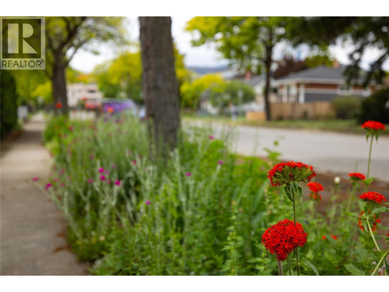 747 & 749 Wilson Avenue, Kelowna, British Columbia  V1Y 6X8 - Photo 70 - 10384357