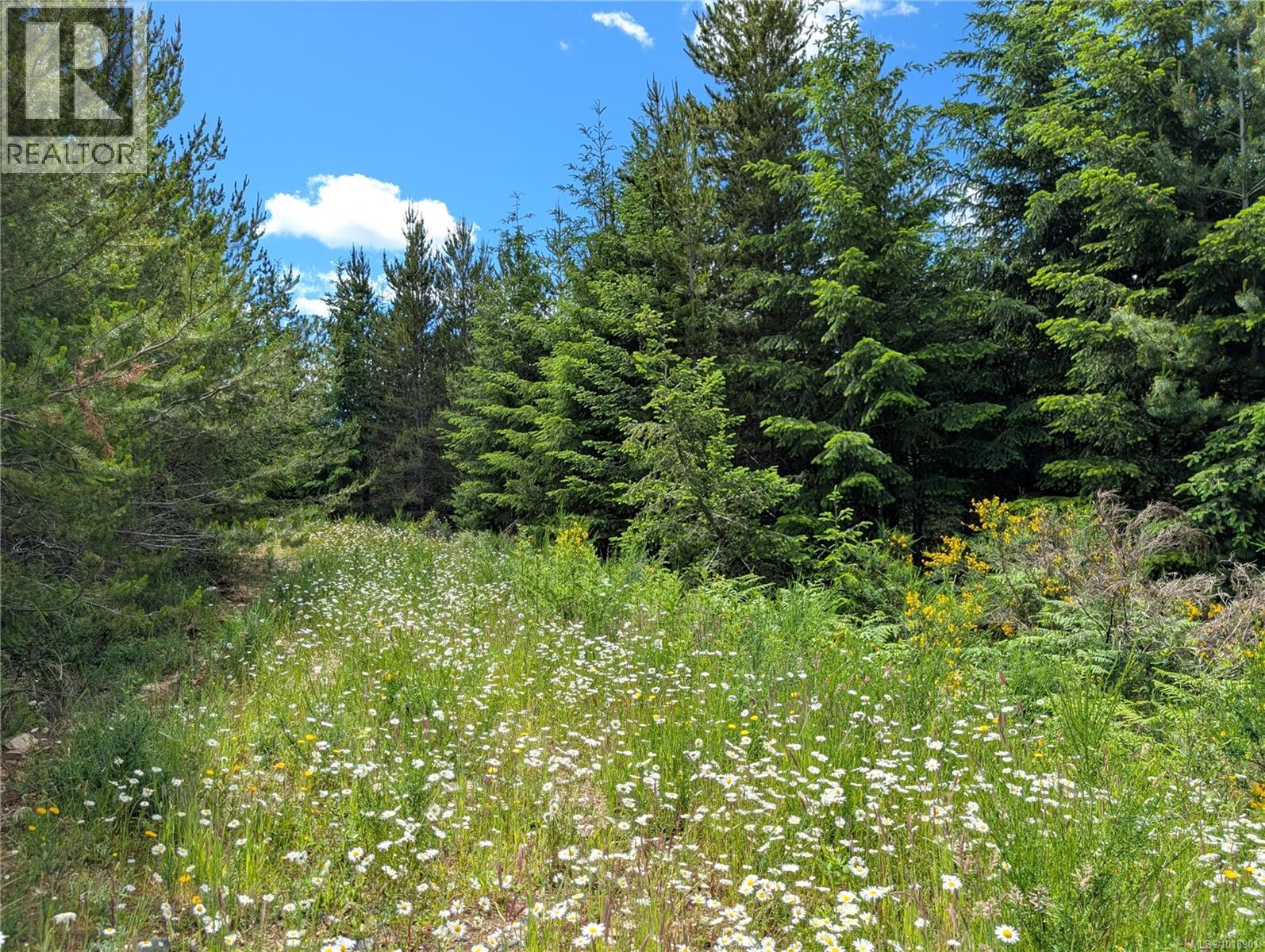 Lot 30 Eagle Dr, Shawnigan Lake, British Columbia  V8H 2J1 - Photo 10 - 1018901