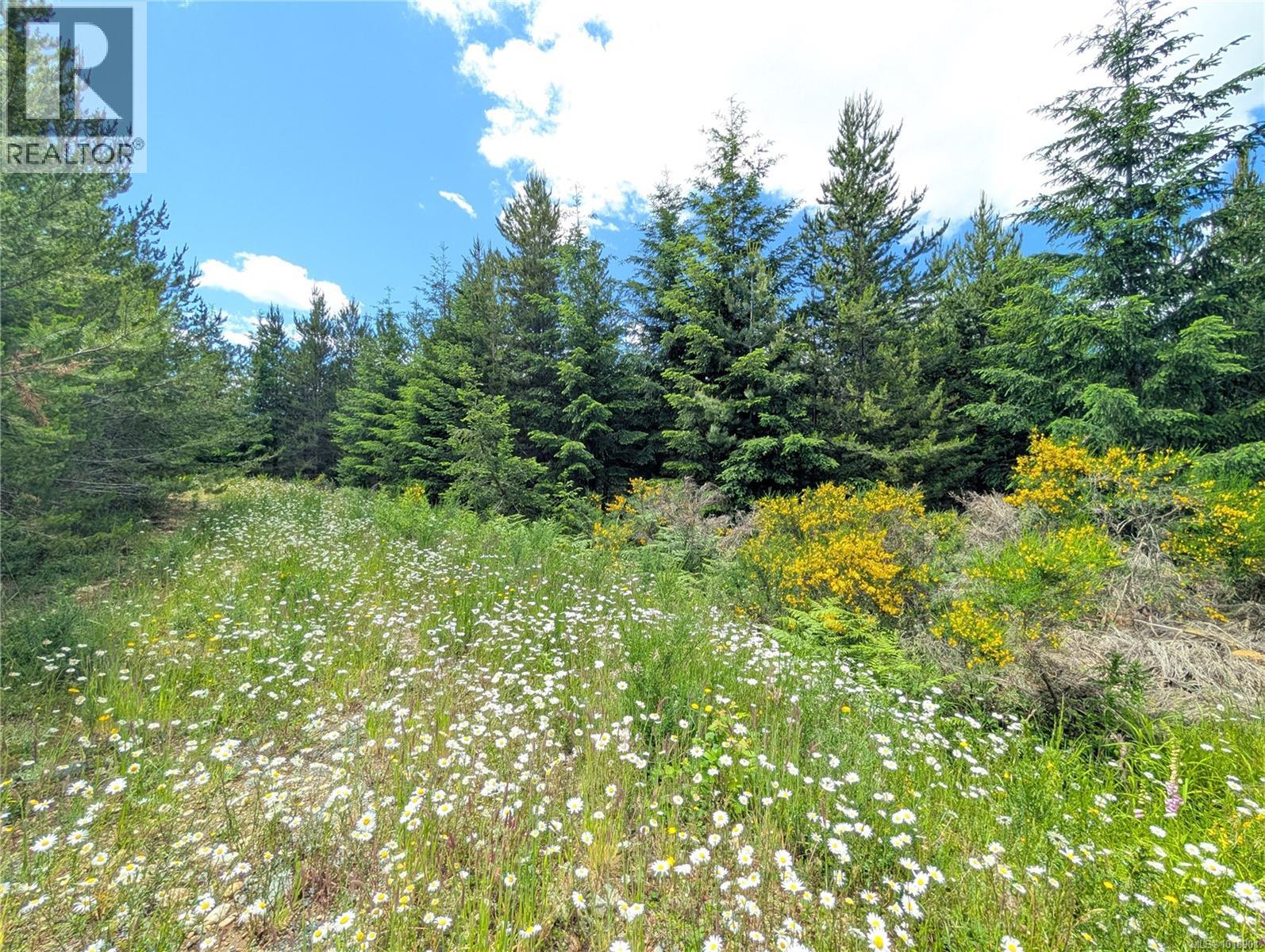 Lot 30 Eagle Dr, Shawnigan Lake, British Columbia  V8H 2J1 - Photo 12 - 1018901