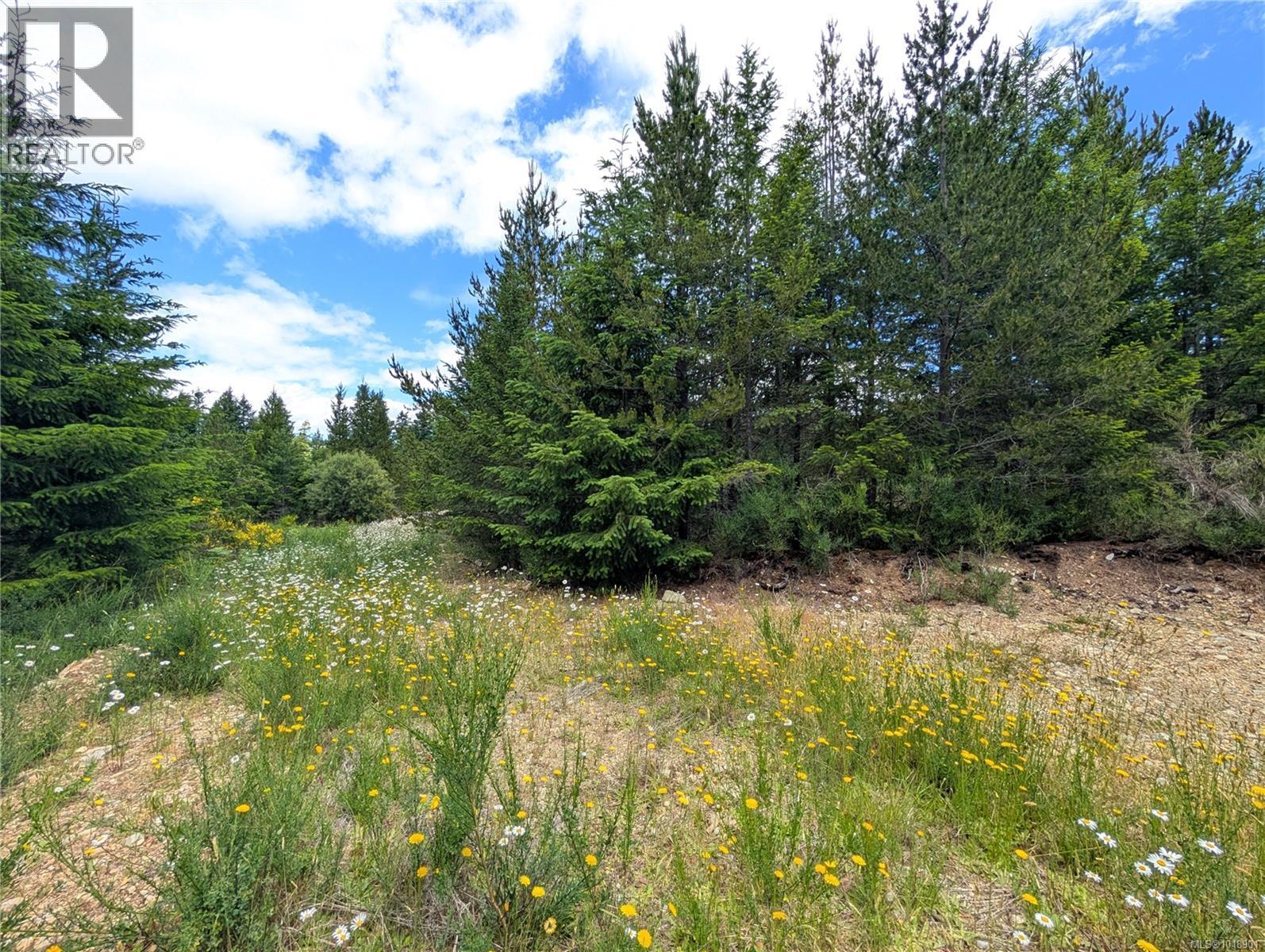 Lot 30 Eagle Dr, Shawnigan Lake, British Columbia  V8H 2J1 - Photo 19 - 1018901