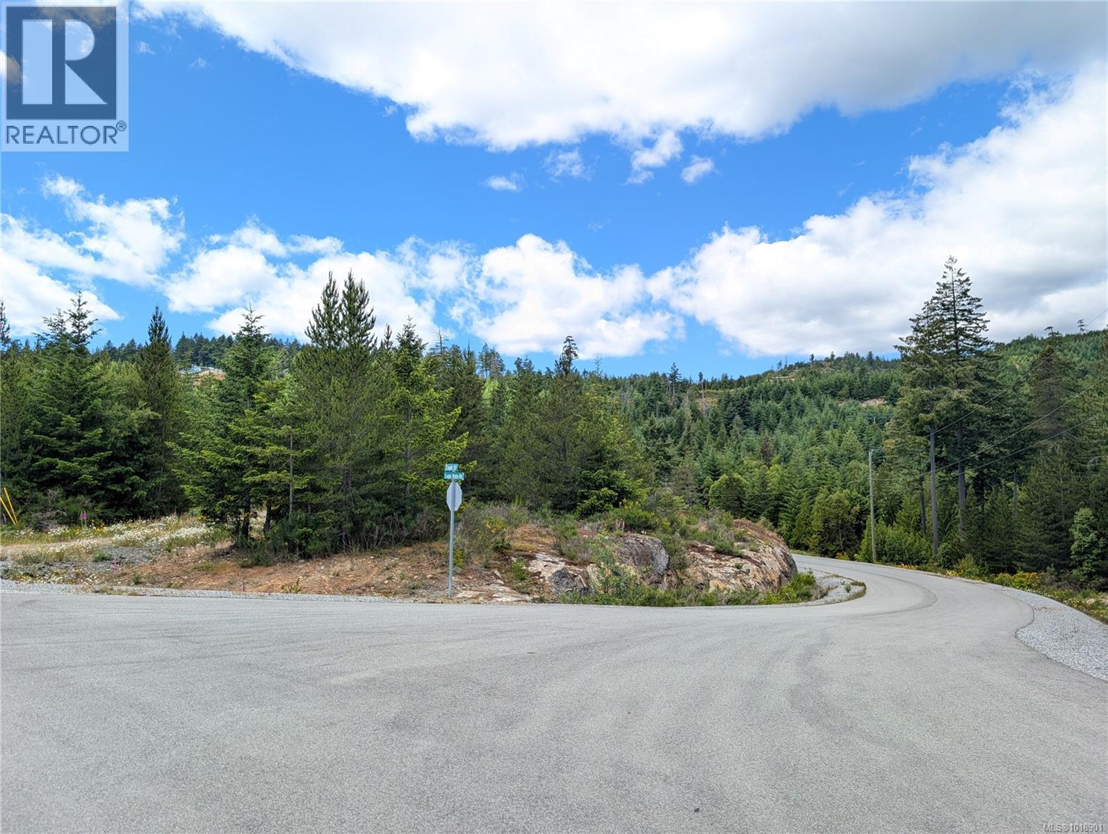 Lot 30 Eagle Dr, Shawnigan Lake, British Columbia  V8H 2J1 - Photo 2 - 1018901