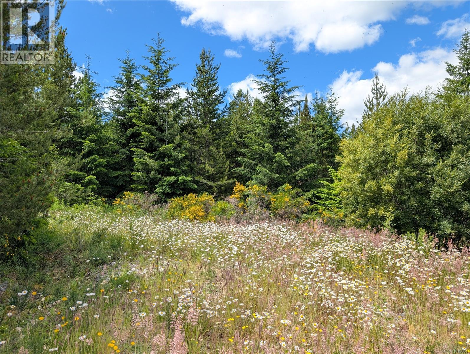 Lot 30 Eagle Dr, Shawnigan Lake, British Columbia  V8H 2J1 - Photo 7 - 1018901