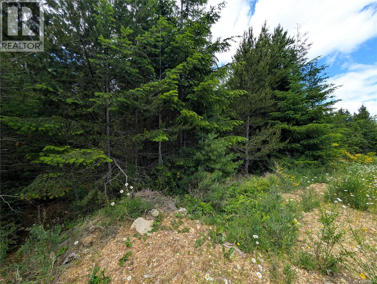 Lot 30 Eagle Dr, Shawnigan Lake, British Columbia  V8H 2J1 - Photo 21 - 1018901