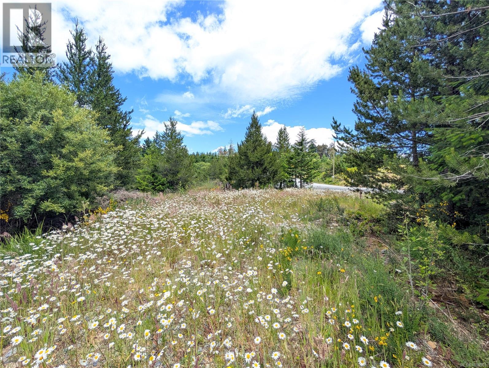 Lot 30 Eagle Dr, Shawnigan Lake, British Columbia  V8H 2J1 - Photo 15 - 1018901